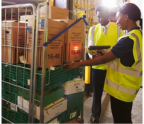 Roll Pallets, Pallets and Pallet Boxes