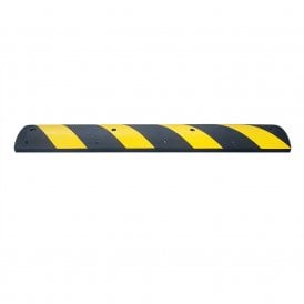 Easy Rider Speed Ramp
