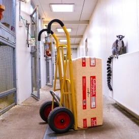 Easy Tip Steel Sack Truck with Pneumatic or Puncture Proof tyres 250kg