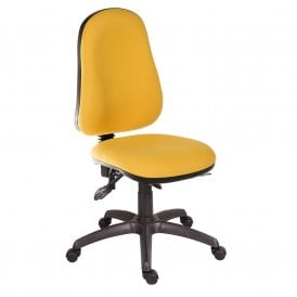 Ergo Comfort Spectrum Executive Office Chair
