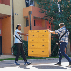 Shoulder Dolly Furniture Moving Straps Max. Load: 360kg